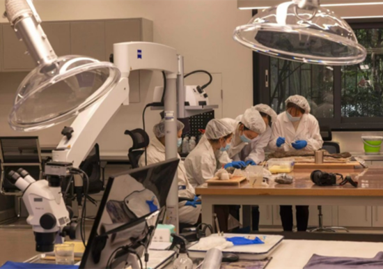 11月26日，文物修復師們在三星堆開放式文物修復館內修復文物。修復館設有專門的分析儀器室，配備了掃描電鏡、考古分析儀、X光衍射儀等先進的儀器設備。